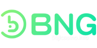 BNG Payment Partner